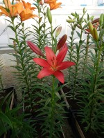 [4097 Paintball DJ No01.JPG]